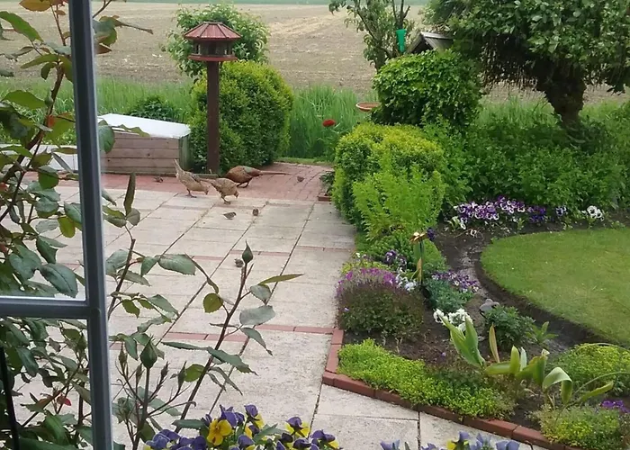 With 2 Bedrooms 度假居 多纳莫塞尔